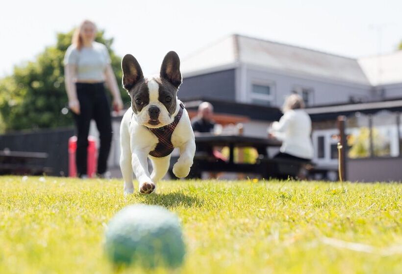 هتل The Imperial Dragon