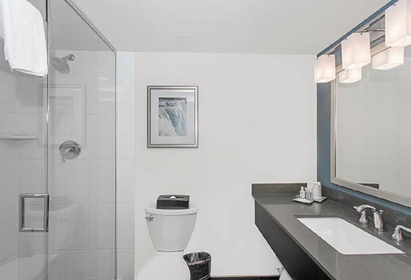 هتل Wyndham Garden Niagara Falls Fallsview