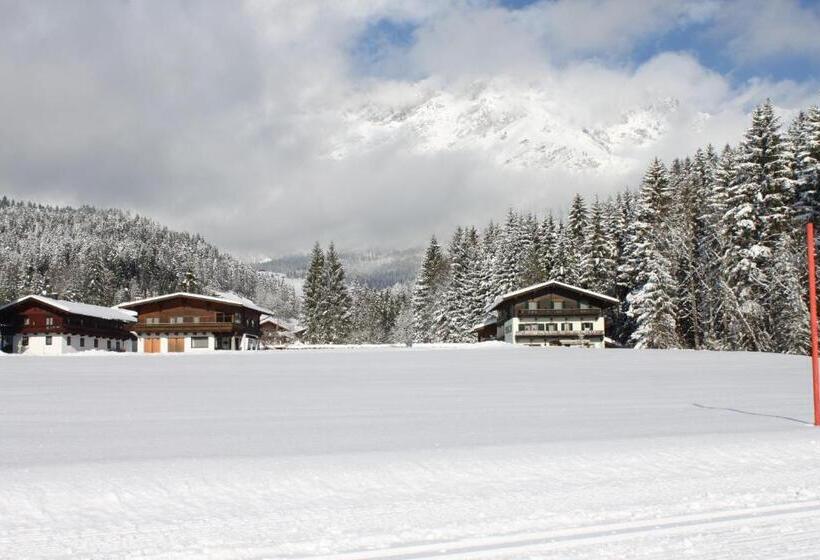Otto Steiner Appartements Pension Ellmau & Wilder Kaiser