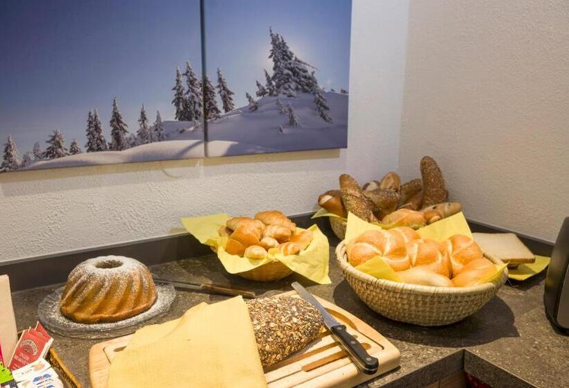 Otto Steiner Appartements Pension Ellmau & Wilder Kaiser