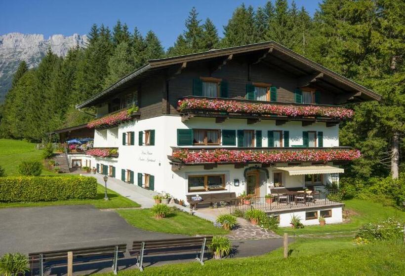Otto Steiner Appartements Pension Ellmau & Wilder Kaiser