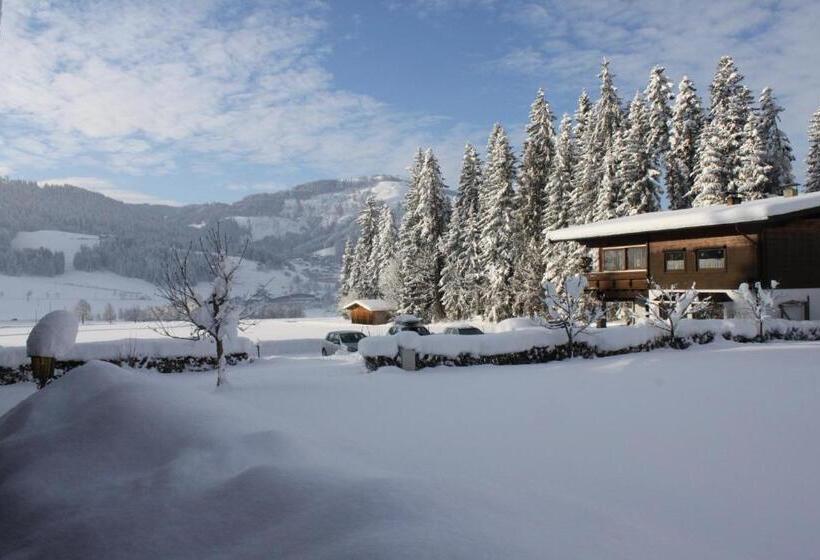 Otto Steiner Appartements Pension Ellmau & Wilder Kaiser
