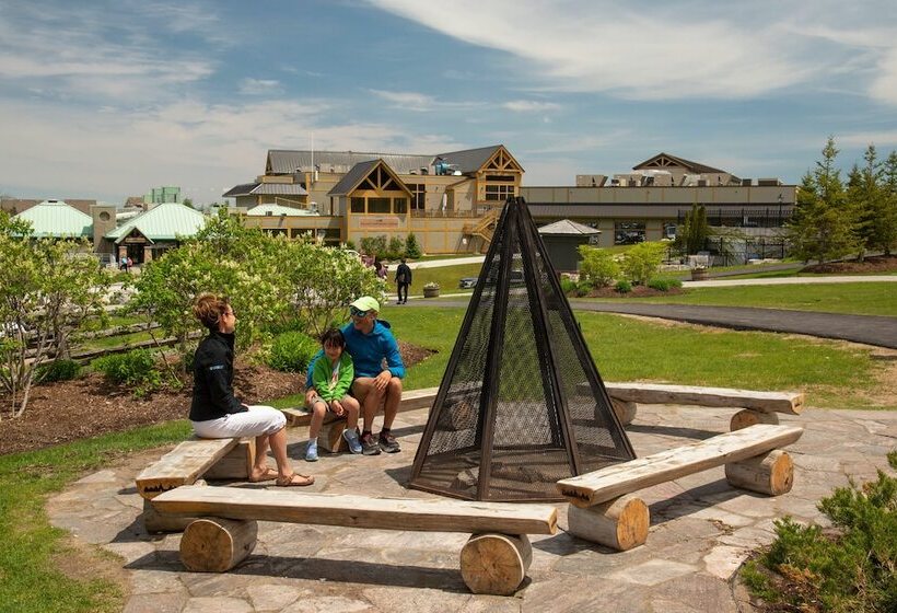 فندق Blue Mountain Resort Mosaic Suites