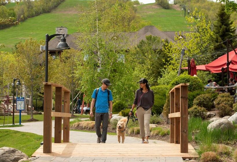 فندق Blue Mountain Resort Mosaic Suites