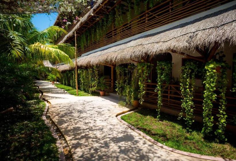 هتل La Palma Holbox