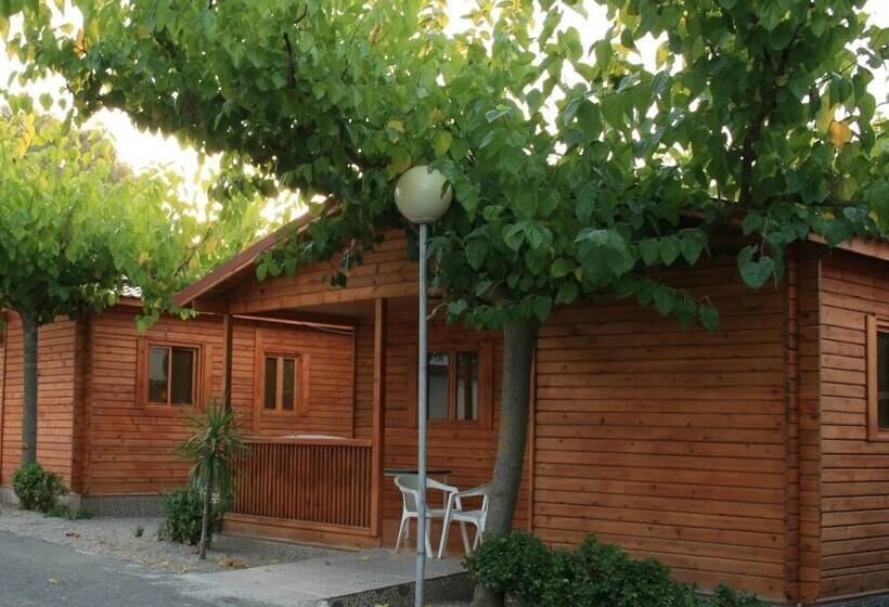 Camping Carlos Iii