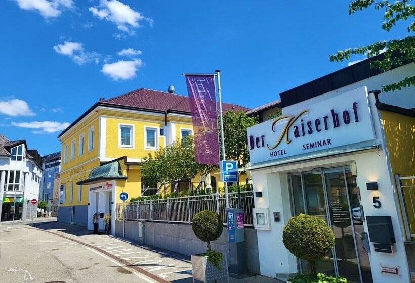 ホテル Der Kaiserhof Ried