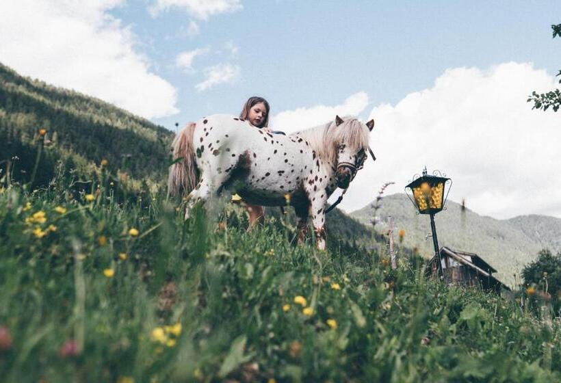 בית מלון כפרי Ferienhof Obergasser Und Bergblick
