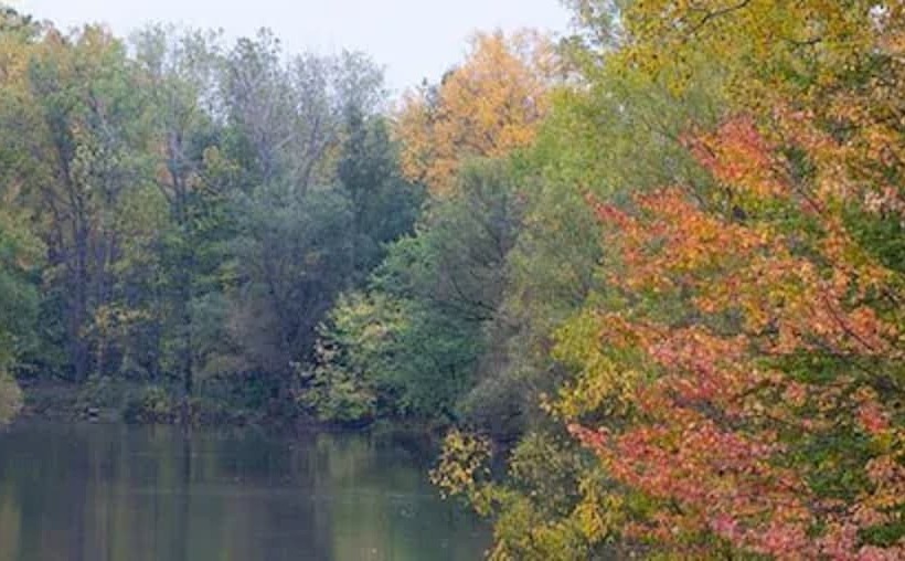 فندق Guest House On The Mount