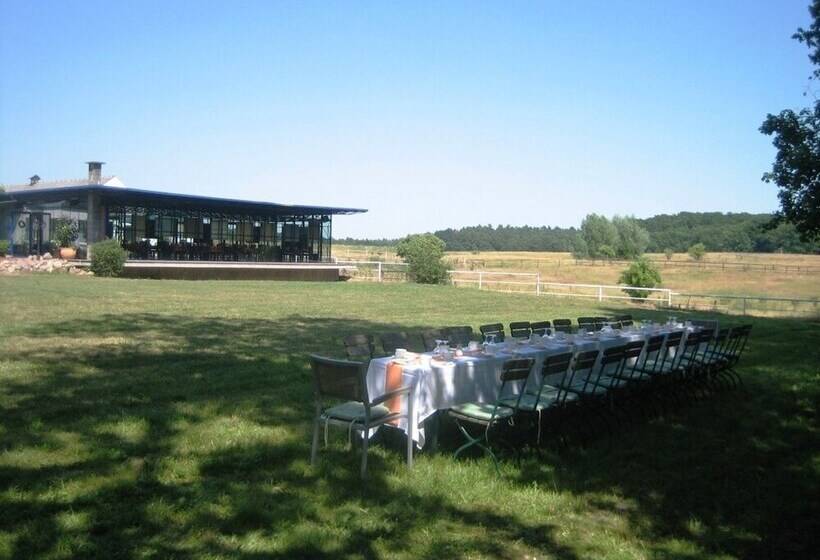 Gut Sarnow   Hotel Und Restaurant