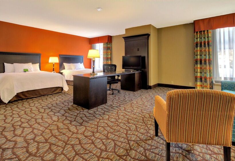 هتل Hampton Inn Ashevilletunnel Rd