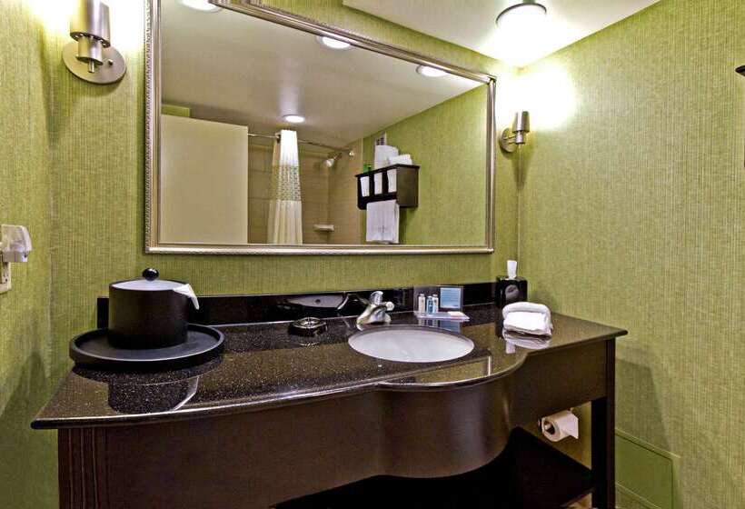 هتل Hampton Inn Ashevilletunnel Rd