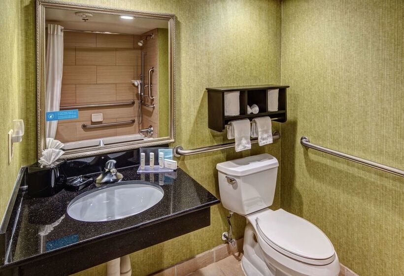 هتل Hampton Inn Ashevilletunnel Rd