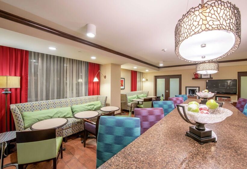 هتل Hampton Inn Ashevilletunnel Rd