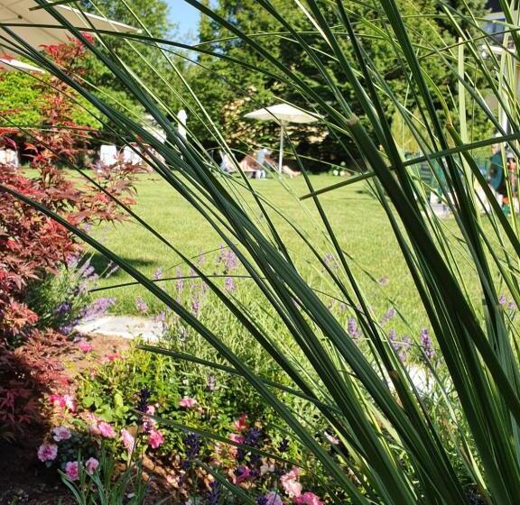 فندق Himmelreich