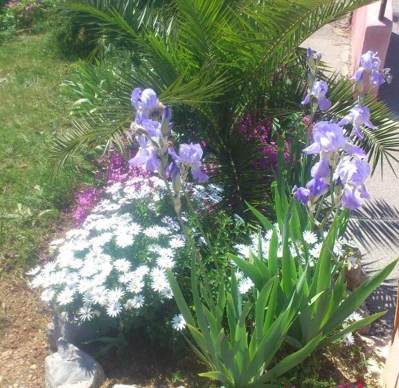 Отель La Reserve