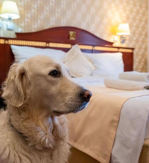 هتل Tommy Wellness & Spa