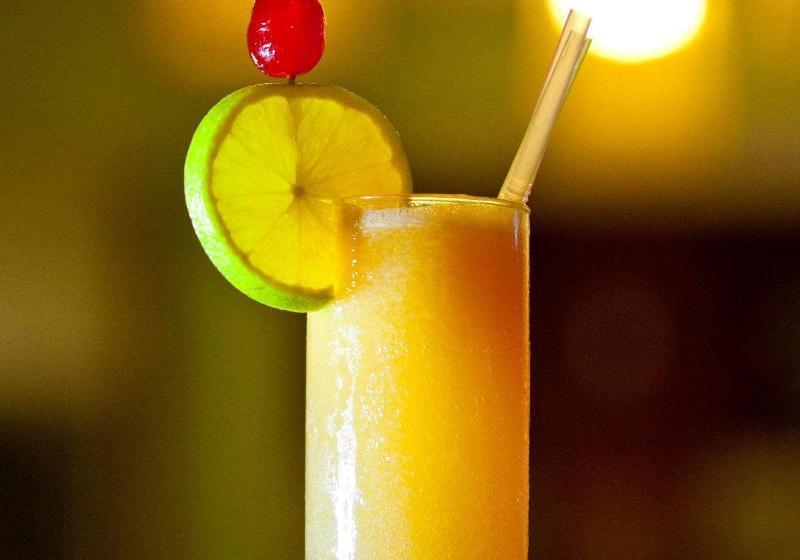 Vidam Hotel Aracaju Transamerica Collection