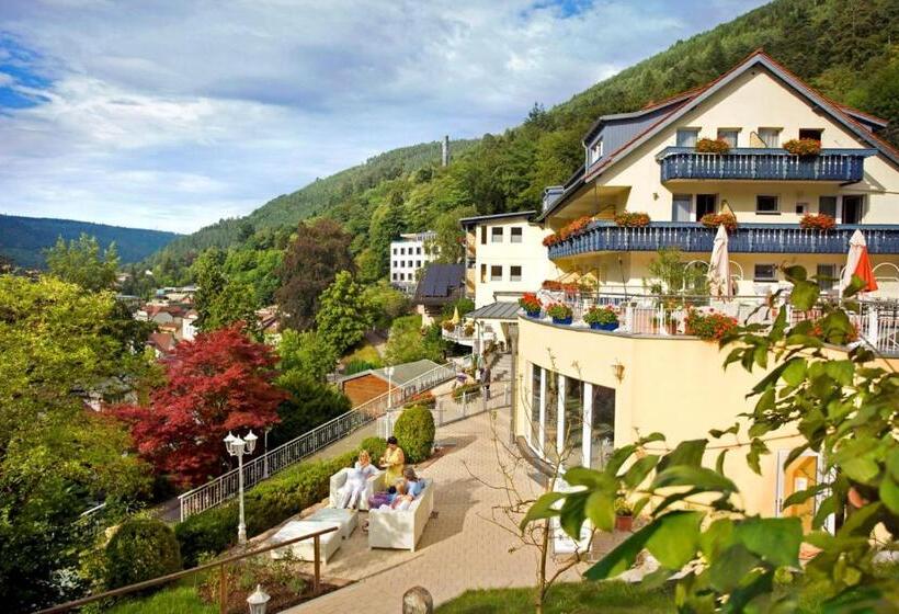 Wellnesshotel Rothfuß Mit Spa Und 2 Schwimmbädern