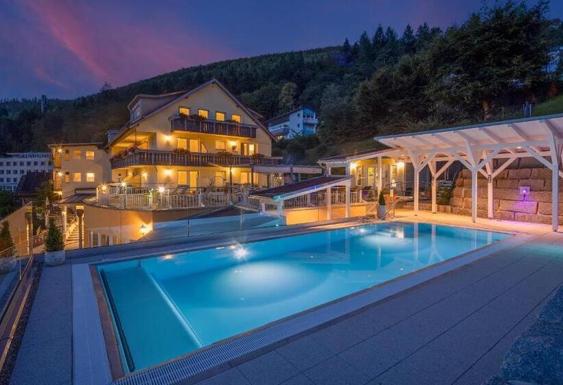 Wellnesshotel Rothfuß Mit Spa Und 2 Schwimmbädern