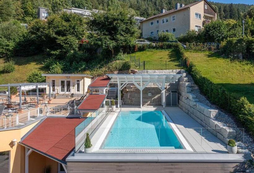 Wellnesshotel Rothfuß Mit Spa Und 2 Schwimmbädern