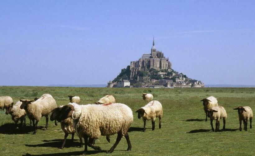 ベッドアンドブレックファースト Chambres D Hotes Avec Piscine Aux Agapanthes De Cromel   Mont Saint Michel