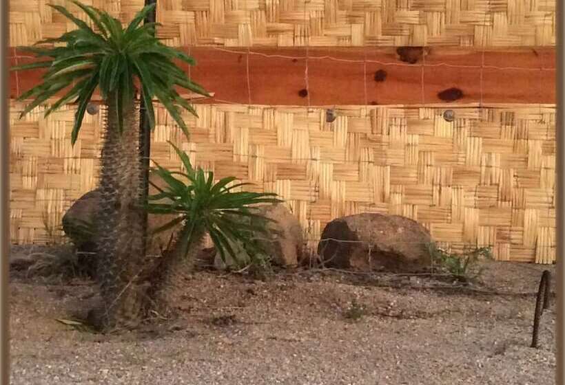 پانسیون Room In Guest Room   Camp   Santos Cabana Constanza