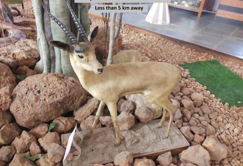 酒店 Collection O 80425 Dhs Residency