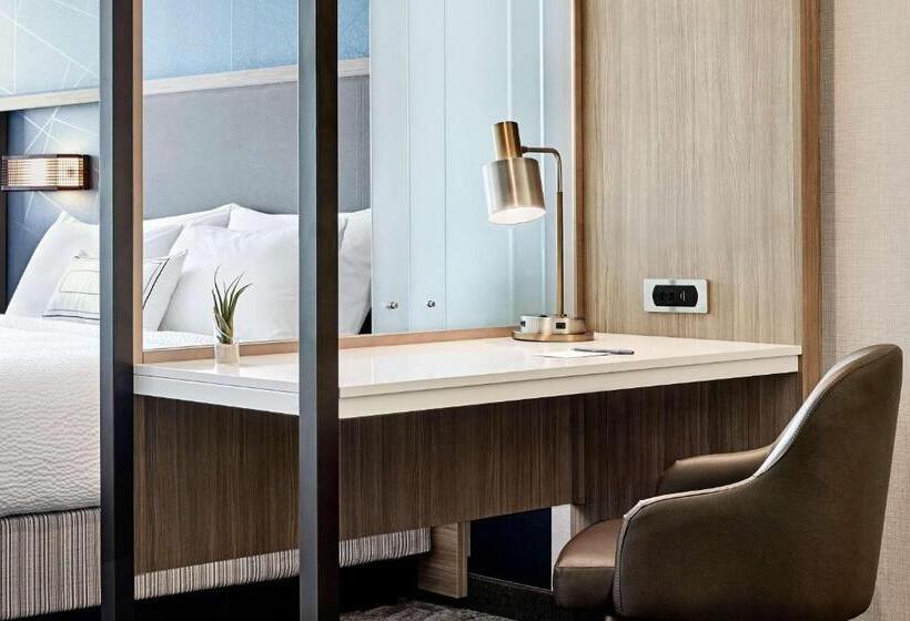 ホテル Springhill Suites By Marriott Charlotte Huntersville