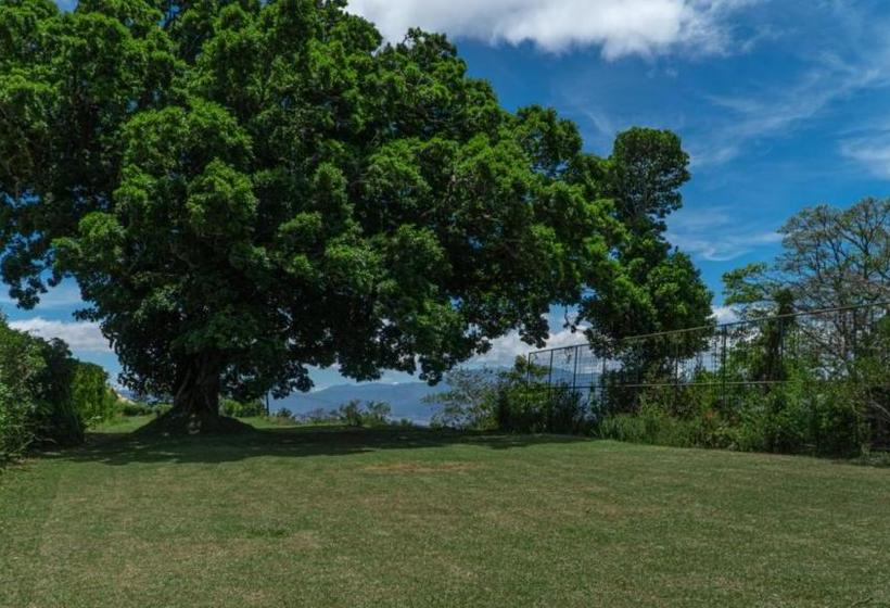 فندق Cypresal Mirador Y Restaurante