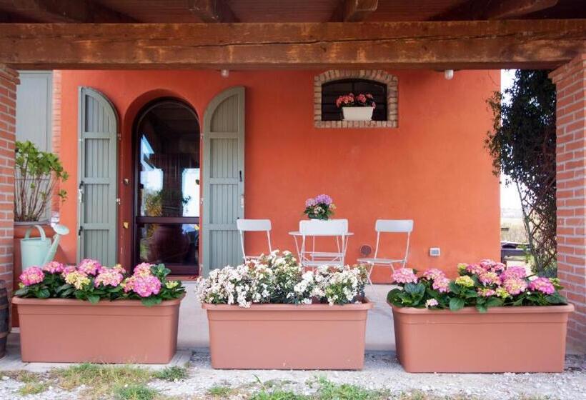 پانسیون Cà Vincenzona, Wellness Area