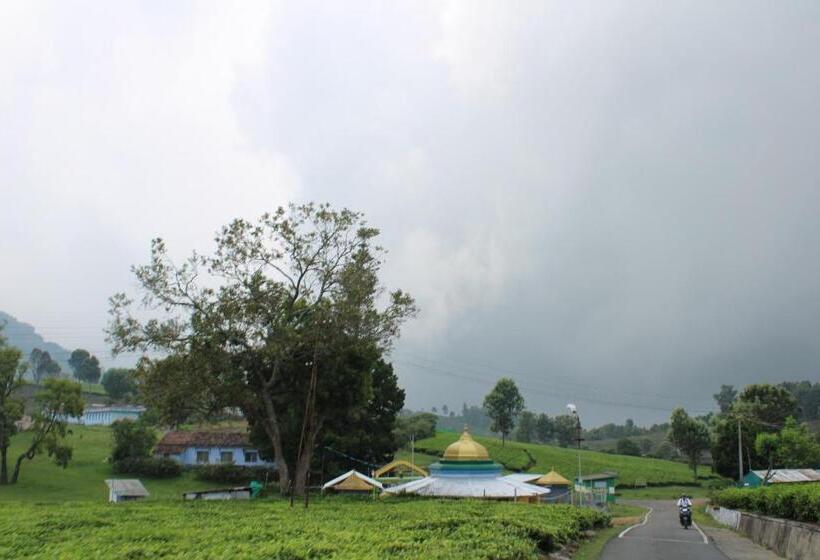 פנסיון Hidden Heaven