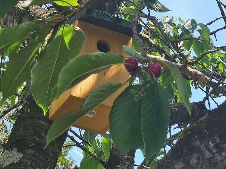 Отель Campanile Deauville  Saint Arnoult