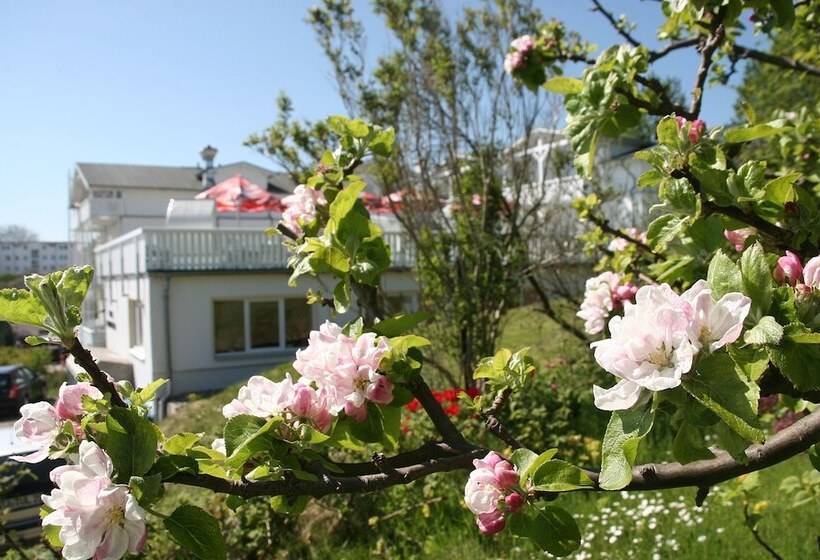 Koopmanns Hotel Und Lädchen