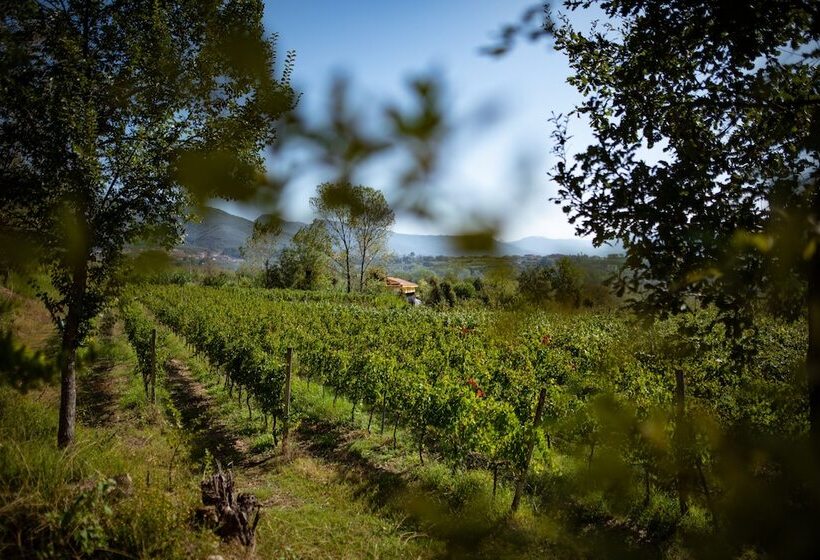 فندق Villa Rizzo Resort And Spa