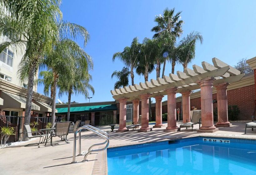 هتل Wyndham Garden Mcallen At La Plaza Mall