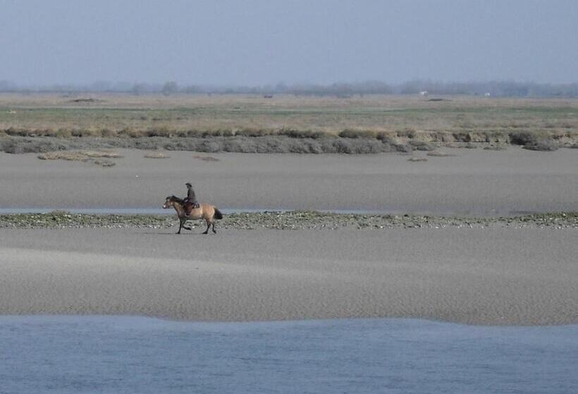 Madame Vacances Les Terrasses De La Plage