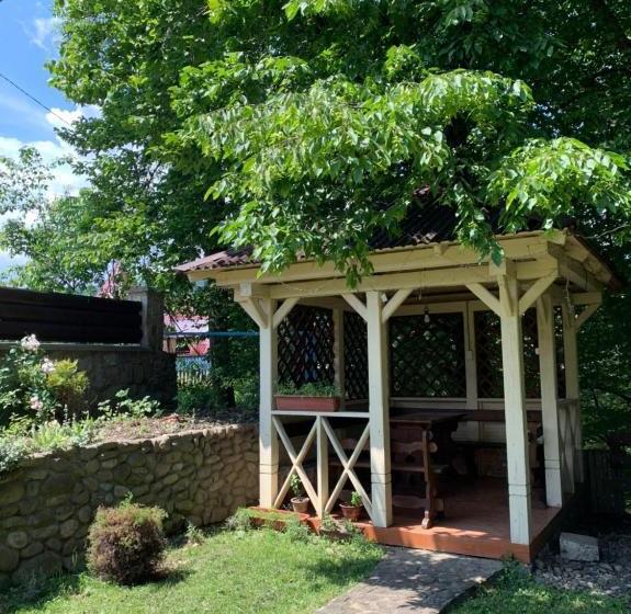 Albergue вишиванка