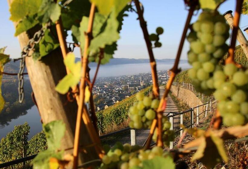 פנסיון Wein Und Gästehaus Hüls