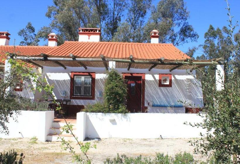 住宿加早餐  Monte Do Areeiro