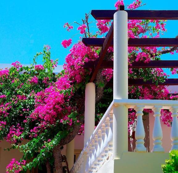 Elotis Suites