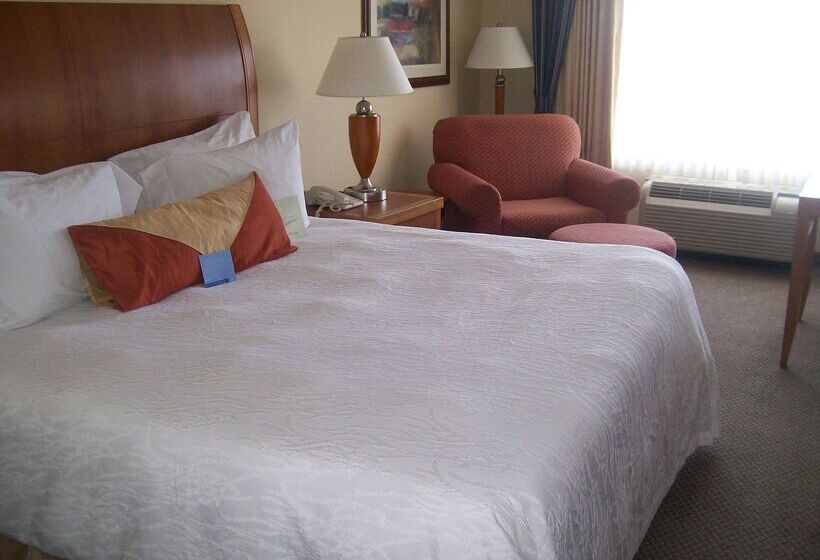 هتل Hilton Garden Inn Albany