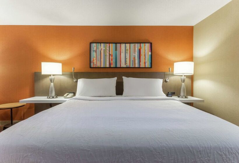 Отель Hilton Garden Inn Chicago/tinley Park