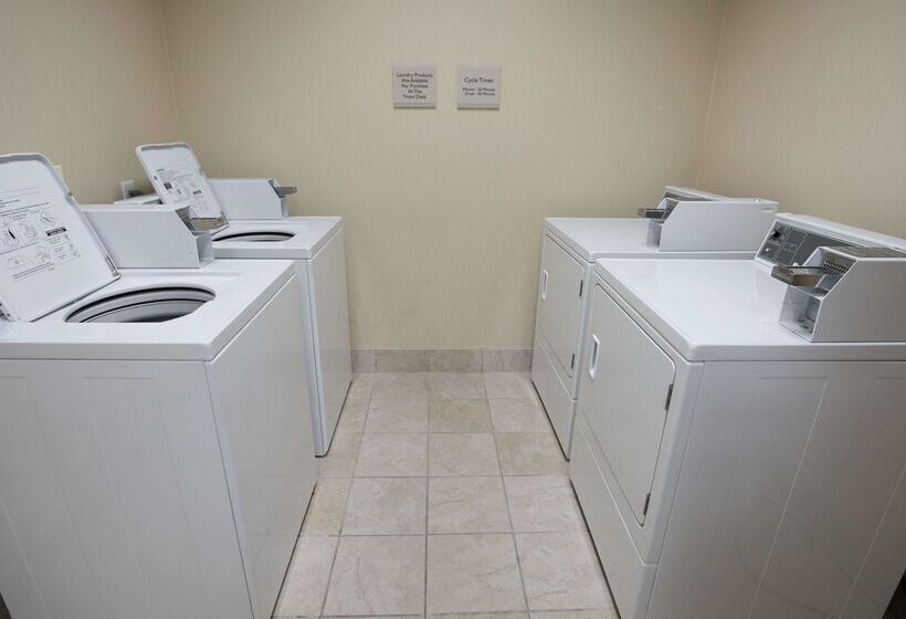 בית מלון כפרי Hilton Garden Inn Lakeland