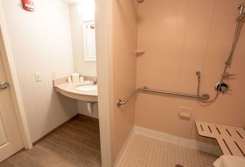 בית מלון כפרי Hilton Garden Inn State College