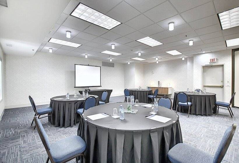 בית מלון כפרי Holiday Inn Express Airport Calgary, An Ihg