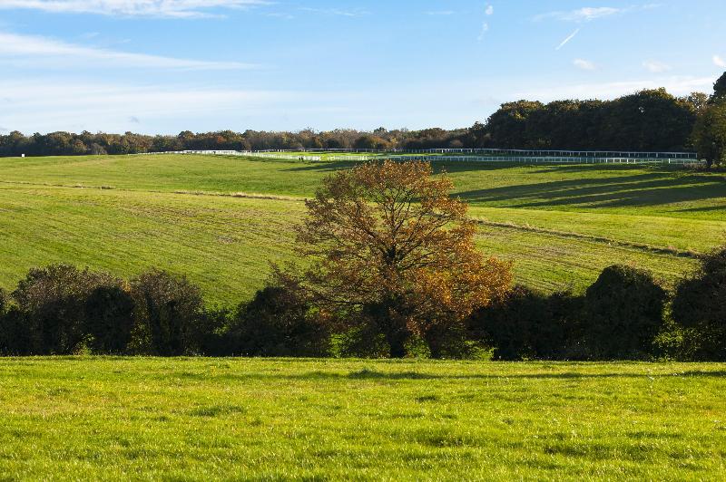 호텔 Holiday Inn Express London   Epsom Downs, An Ihg