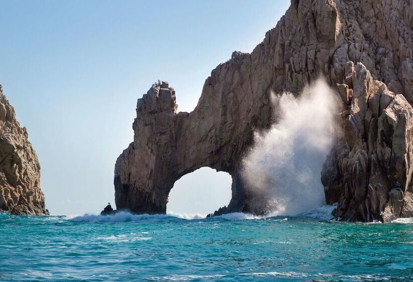هتل Hyatt Ziva Los Cabos  All Inclusive