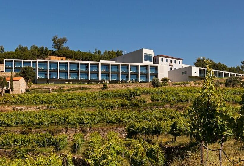 فندق ريفى Douro Palace Hotel Resort & Spa