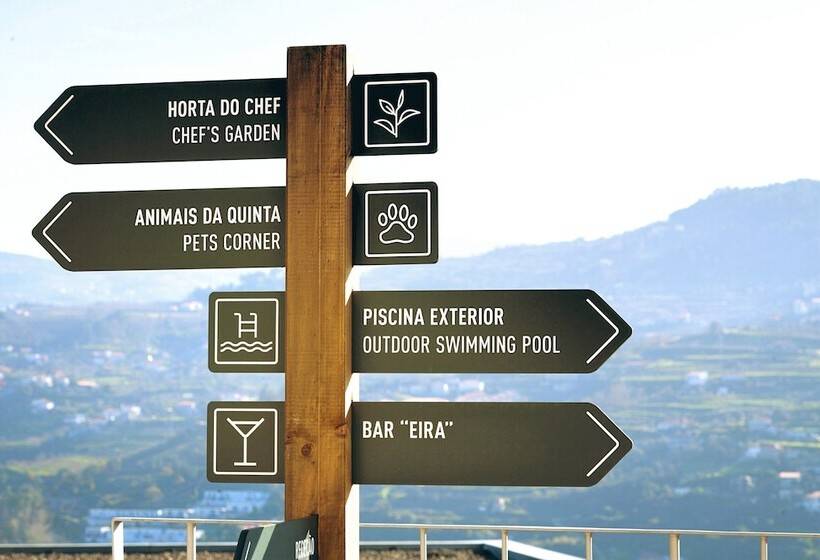 乡村酒店 Douro Palace Hotel Resort & Spa